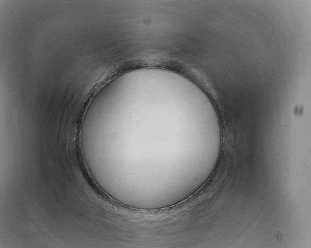 X0000091480018200708161157