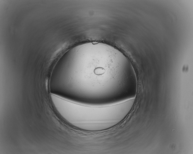 X0000091480019200708161157
