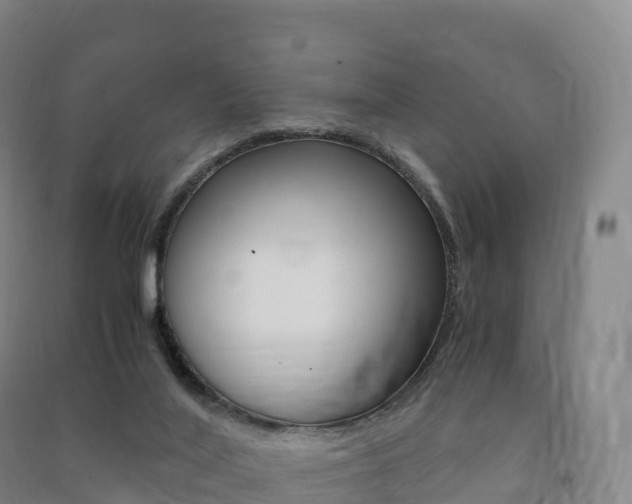 X0000091480020200708161157