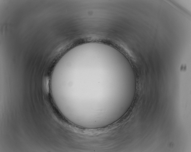 X0000091480022200708161157