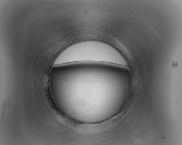 X0000091480025200708161157