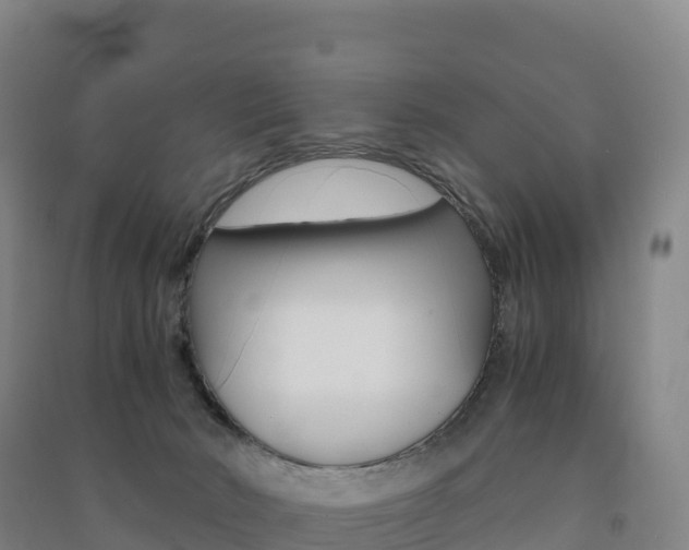 X0000091480030200708161157