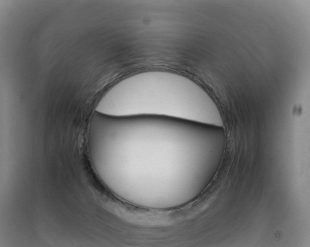 X0000091480032200708161157
