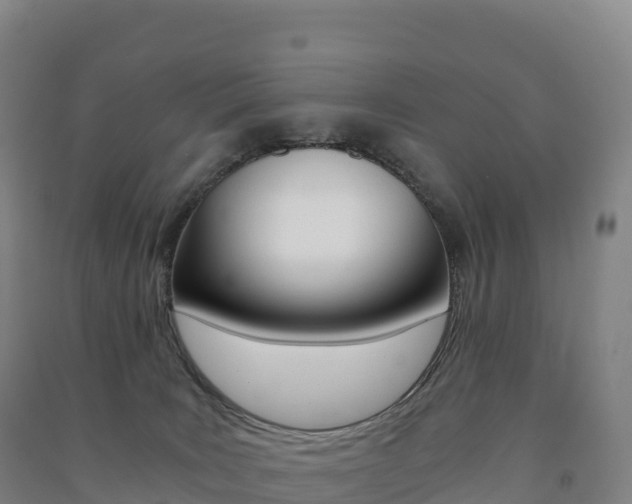 X0000091480035200708161157