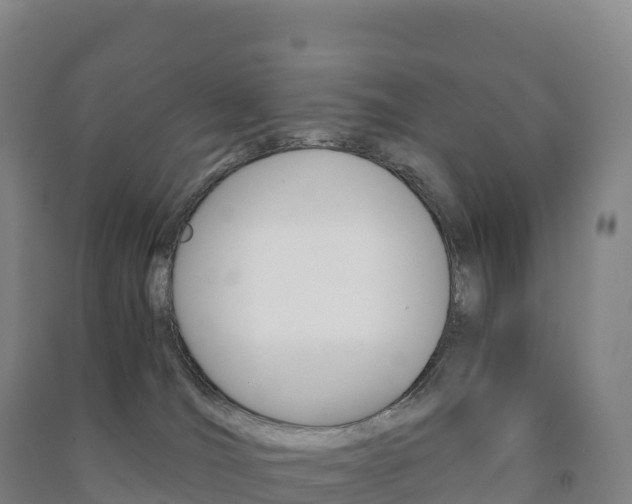X0000091480036200708161157