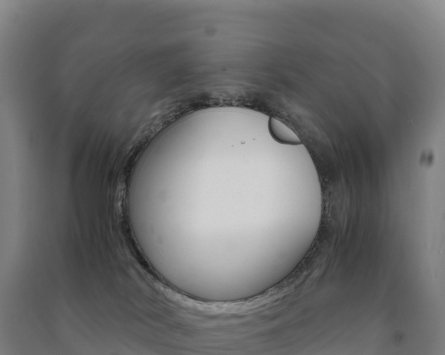 X0000091480038200708161157