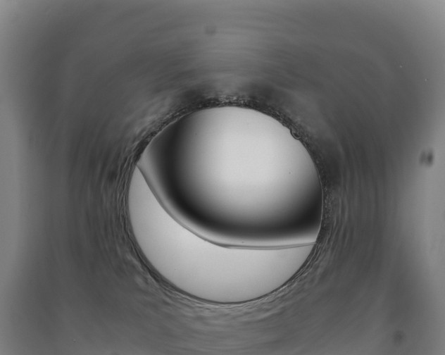 X0000091480039200708161157