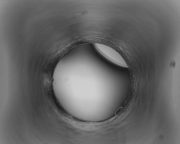 X0000091480040200708161157