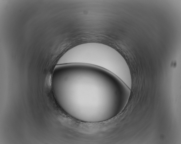 X0000091480041200708161157