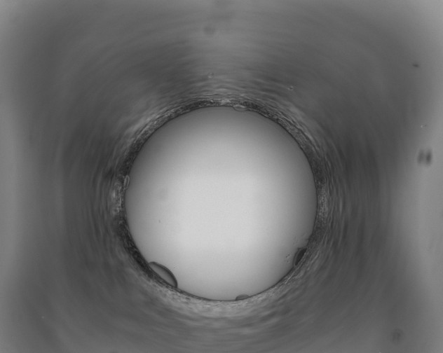 X0000091480043200708161157