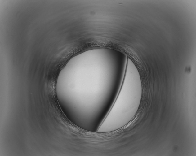 X0000091480045200708161157