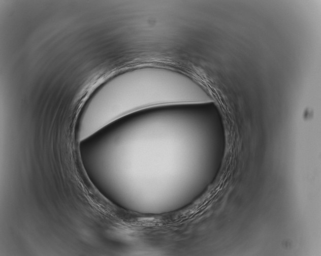 X0000091480050200708161156