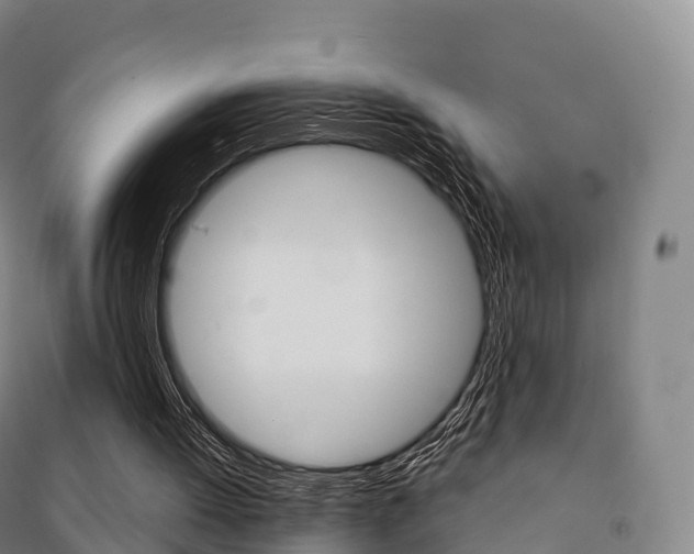 X0000091480052200708161156