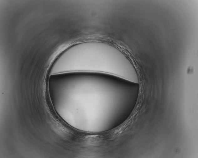 X0000091480054200708161156