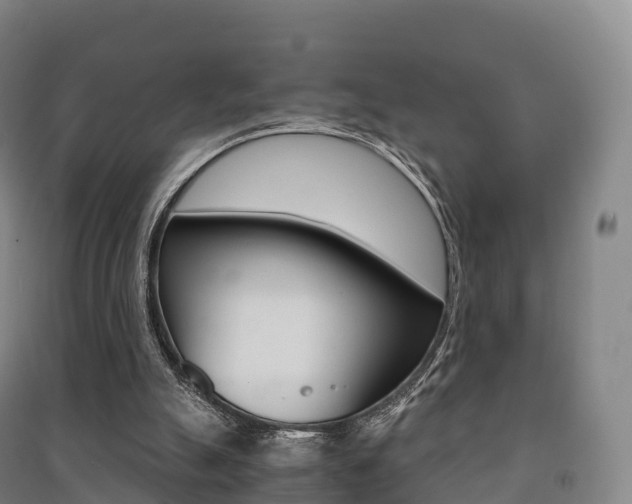 X0000091480055200708161156