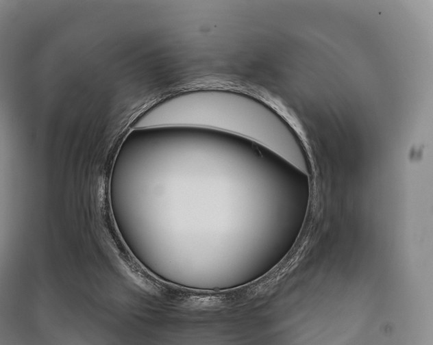 X0000091480057200708161156