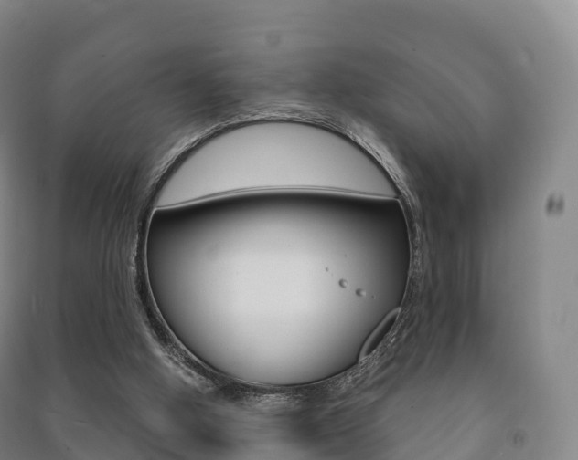 X0000091480058200708161156