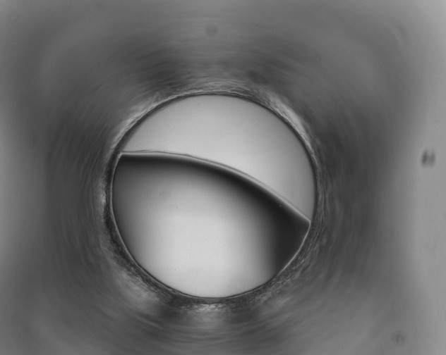 X0000091480059200708161156