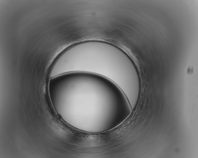 X0000091480060200708161156