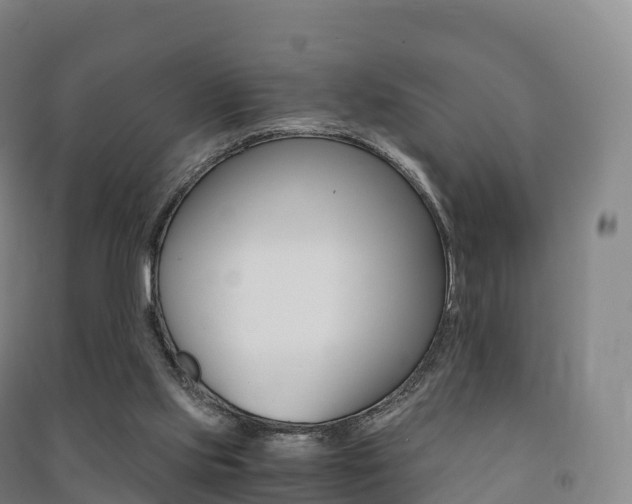 X0000091480061200708161156
