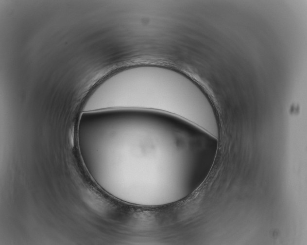 X0000091480062200708161156