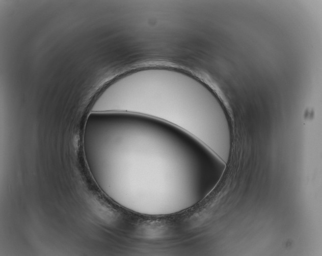 X0000091480063200708161156