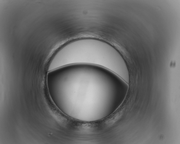 X0000091480064200708161156