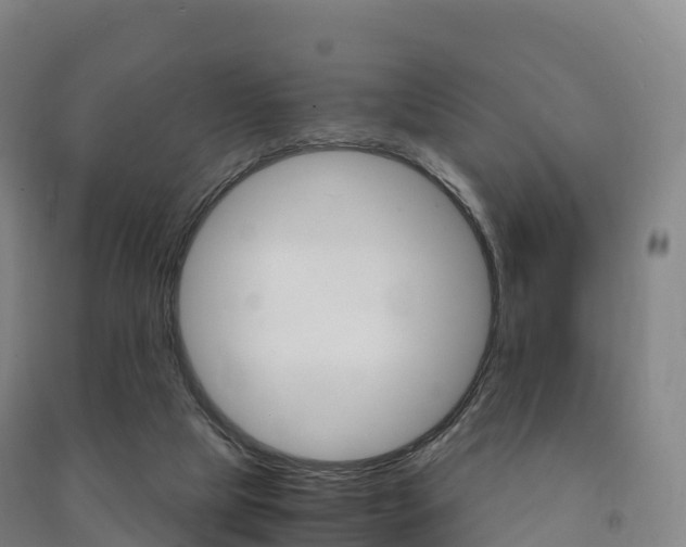 X0000091480065200708161156