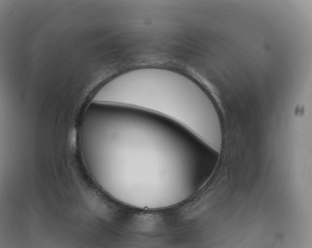 X0000091480067200708161157