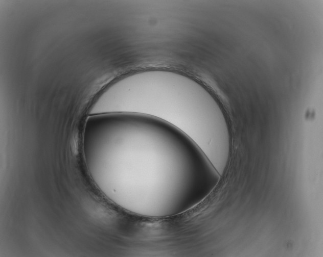 X0000091480068200708161157