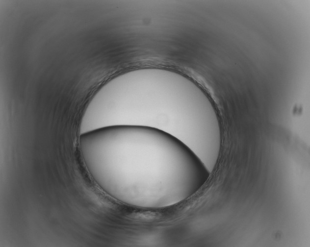 X0000091480069200708161157