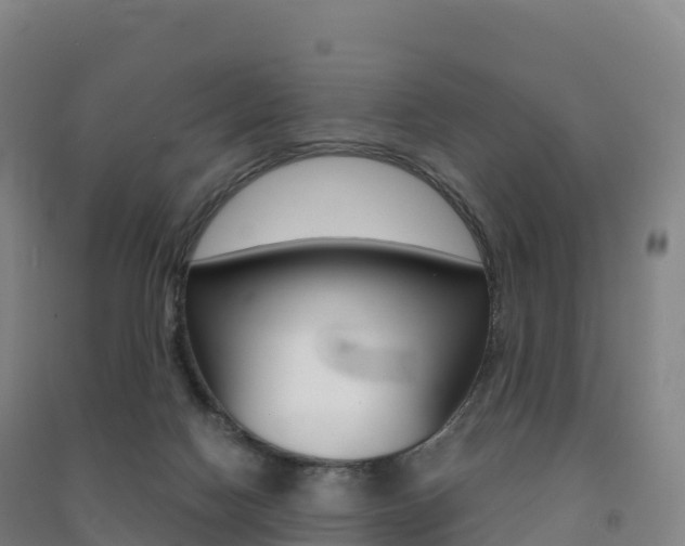X0000091480074200708161157