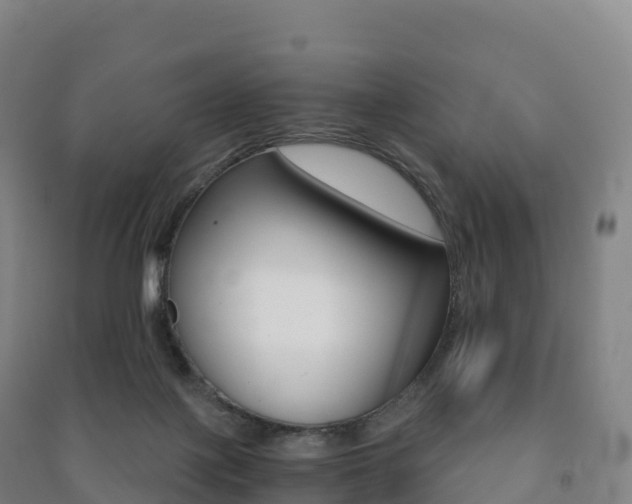 X0000091480075200708161157