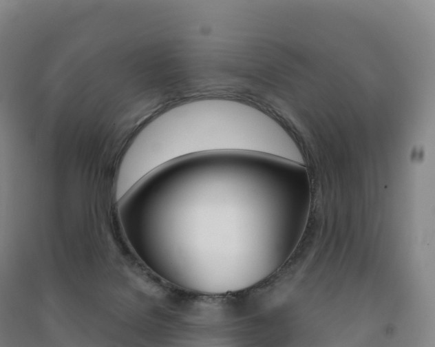 X0000091480076200708161157