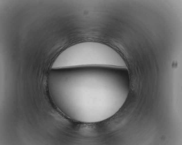 X0000091480077200708161157