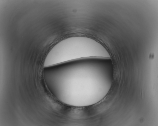 X0000091480078200708161157