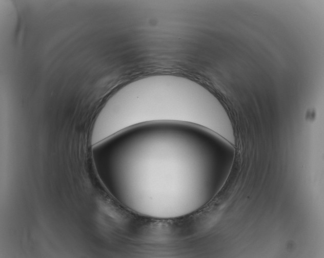 X0000091480080200708161157