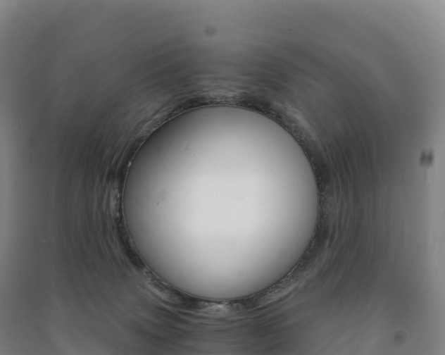 X0000091480083200708161157