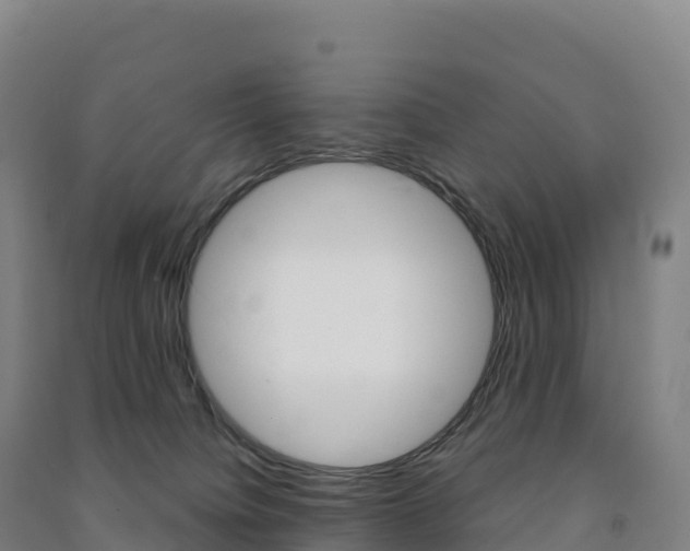 X0000091480084200708161157