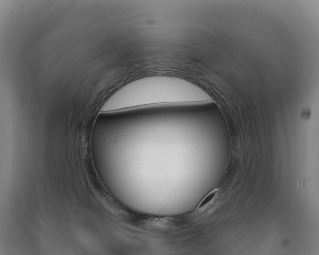 X0000091480086200708161157