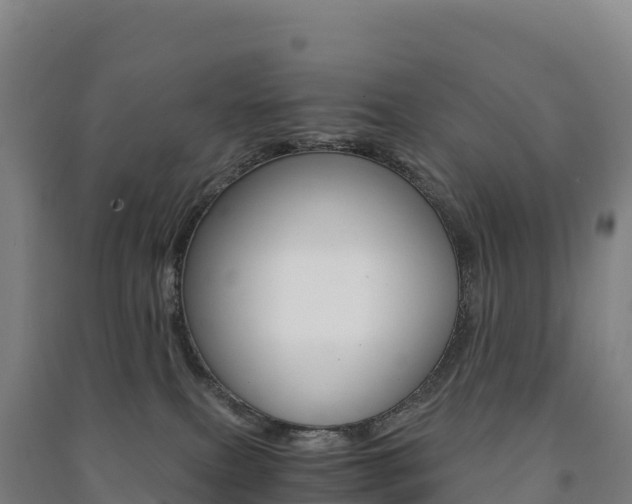 X0000091480087200708161157
