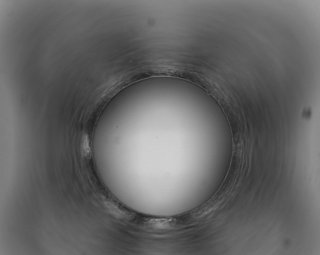 X0000091480089200708161157