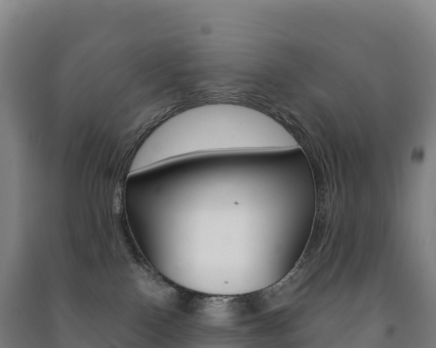 X0000091480090200708161157