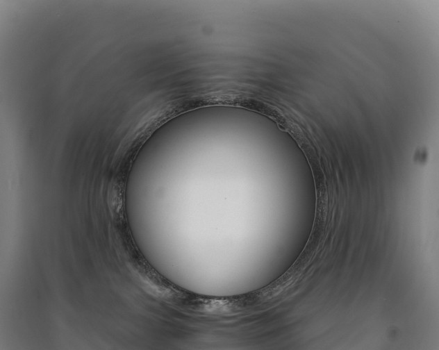 X0000091480091200708161157