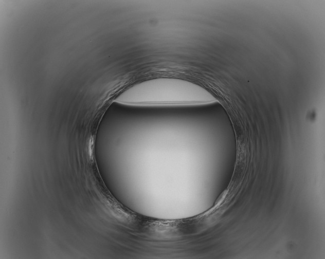 X0000091480094200708161157