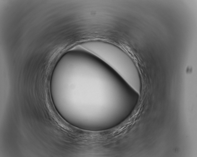 X0000091480097200708161156