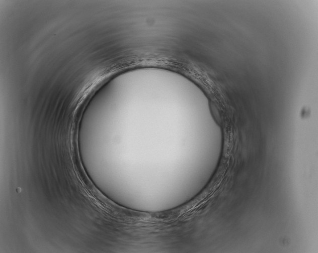 X0000091480098200708161156