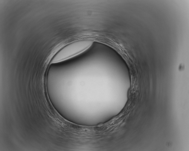 X0000091480099200708161156