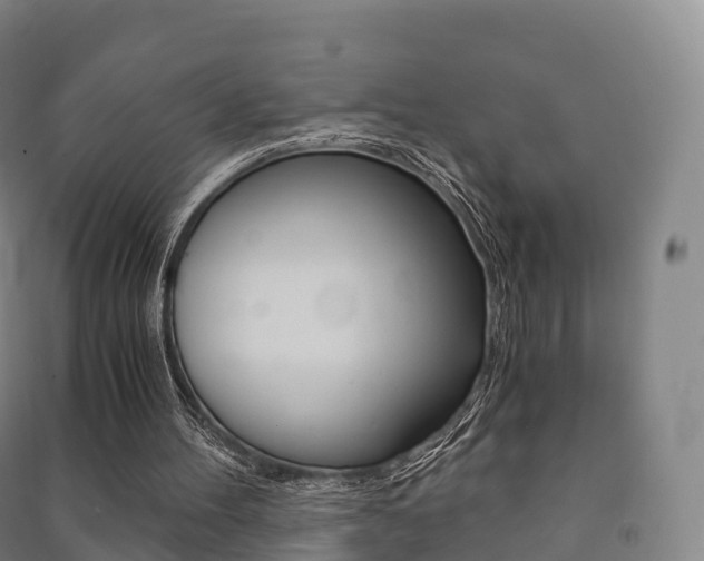X0000091480100200708161156