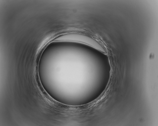 X0000091480101200708161156